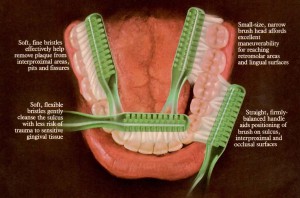 The Journal of the american dental a 6１